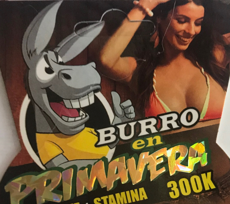 BURRO en PRIMAVERA